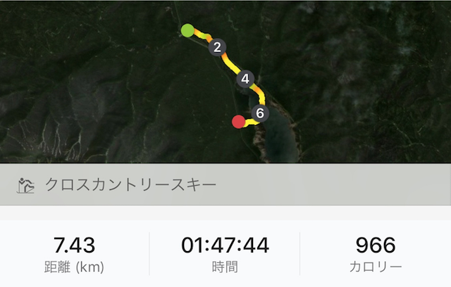 runtastic pro